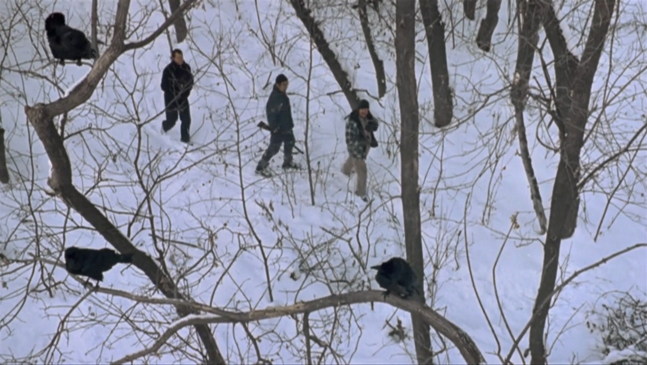 PopGap #29: A Simple Plan (1998)