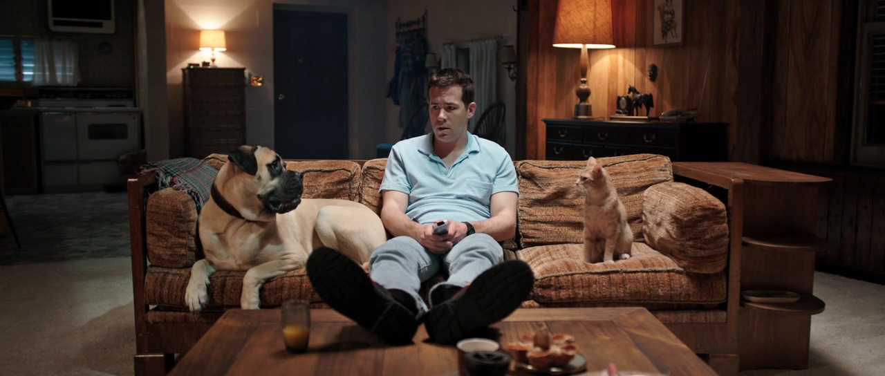 PopGap #29: The Voices (2014)