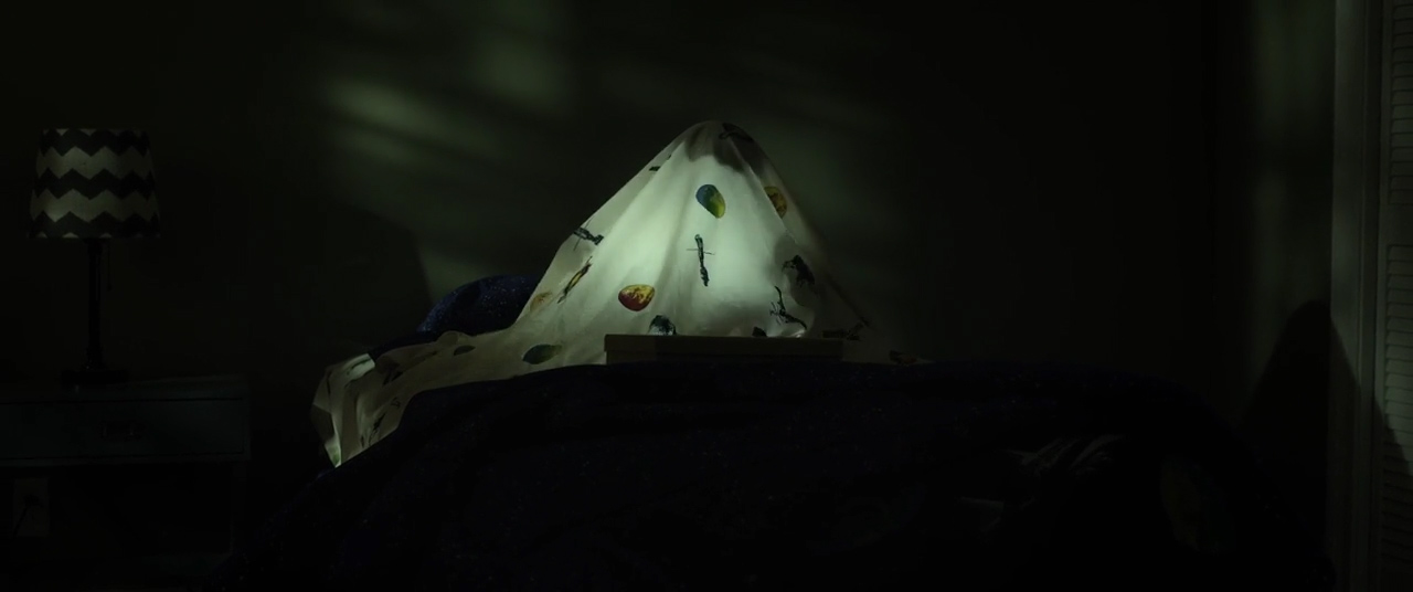 Octoblur 2017: #07 - Before I Wake (2016)
