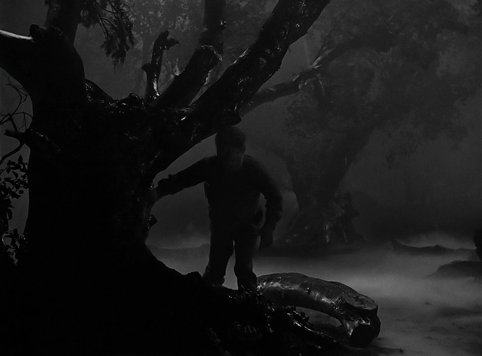 Octoblur 2017: #27 - The Wolf Man (1941)