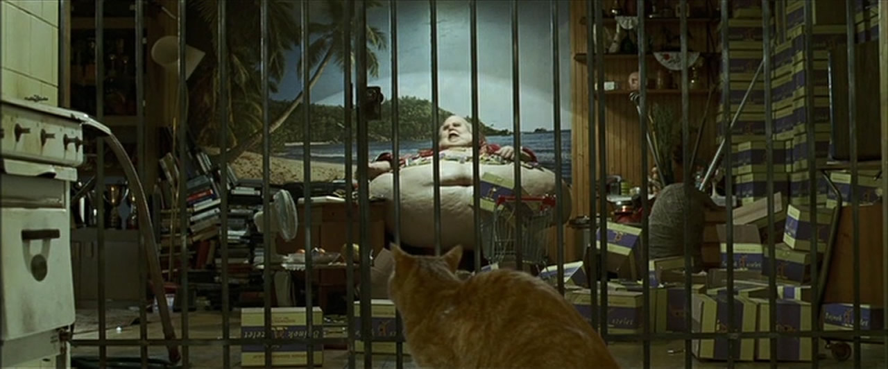 PopGap #35: Taxidermia (2006)