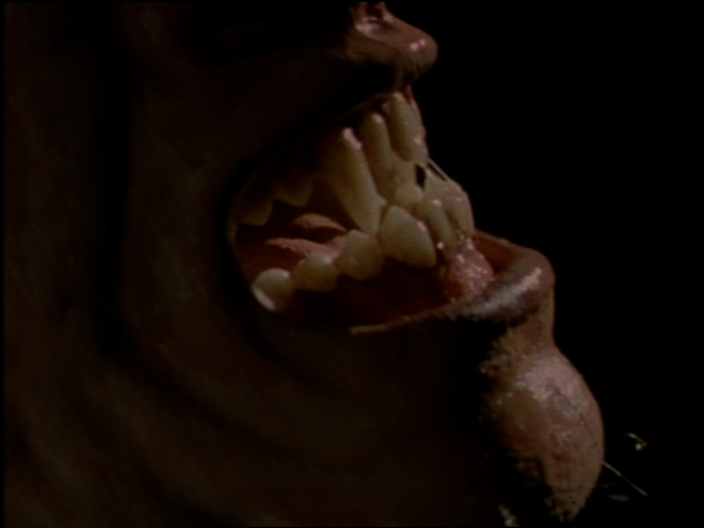 Octoblur 2025 #05: Lone Wolf (1988)